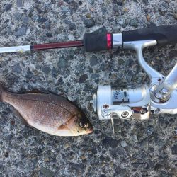 ウイリーサビキ